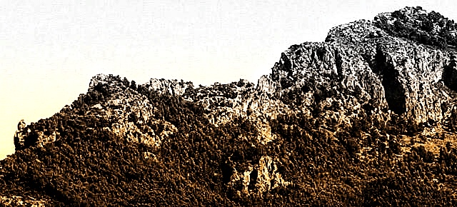 Gefühls-