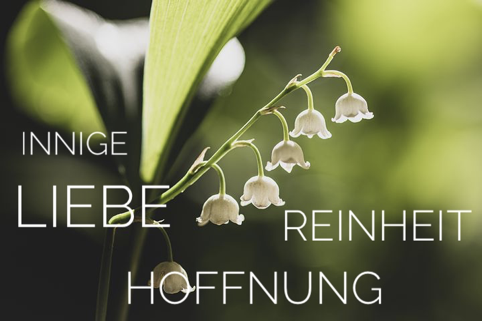 Die Wasserschlange als Helferin