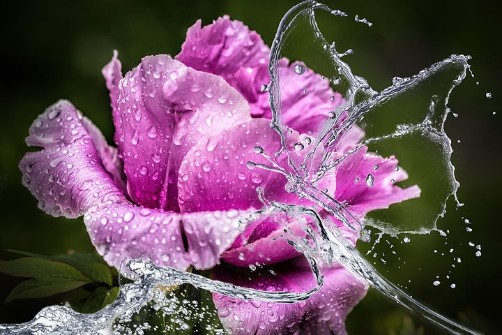‚Der Wasserschlange neue Kleider‘